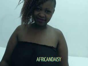 AFRICANDAISY