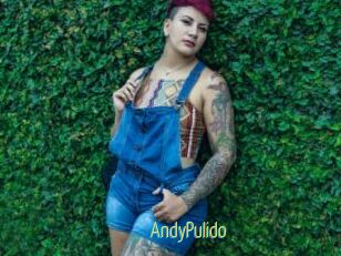 AndyPulido