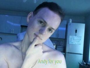 Andy_for_you