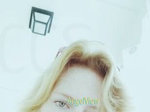 AngelView