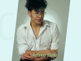 Antinoo_ditella