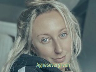 Agnesevergreen