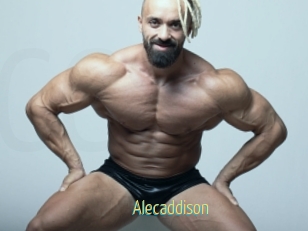 Alecaddison