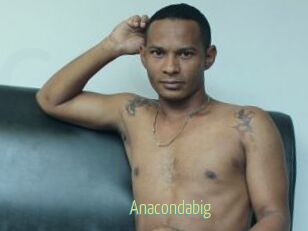 Anacondabig