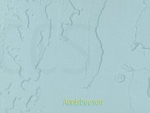 Annisbeeson