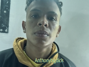 Anthonybigdick