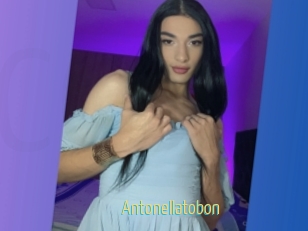 Antonellatobon