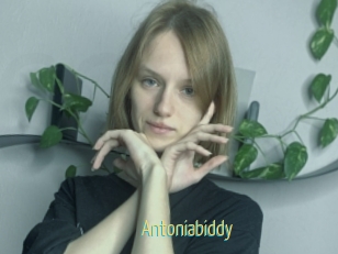 Antoniabiddy