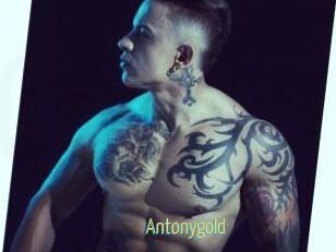 Antonygold