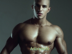 Antonywebb