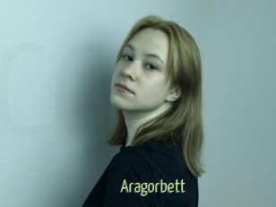 Aragorbett