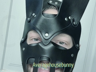 Averagehousebunny