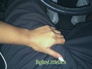 BigBoyLittleDick