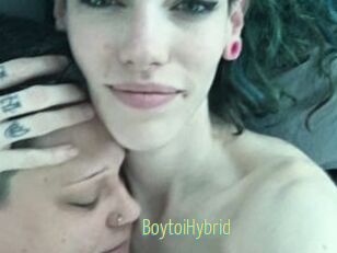 BoytoiHybrid