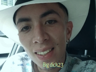 Big_dick23