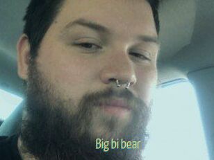 Big_bi_bear