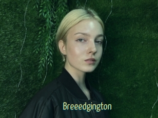 Breeedgington