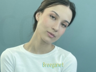 Breeganet