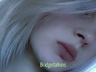 Bridgetalkins