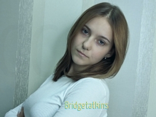 Bridgetatkins