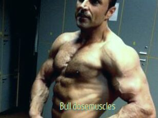 Bull_dosemuscles