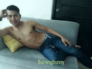 Burningbunny