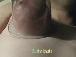 Bustin_knuts