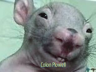 Colon_Plowell