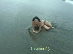 Canariona23