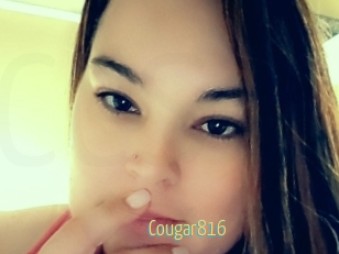 Cougar816