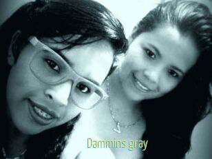 Dammins_gray