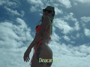 Dinacarters