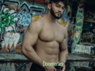 Donmerlin