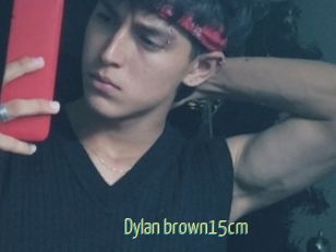 Dylan_brown15cm