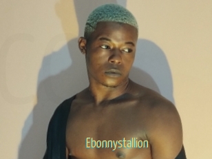 Ebonnystallion