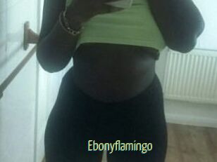 Ebony_flamingo