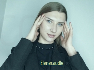 Elenecaudle