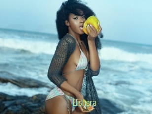 Elishara