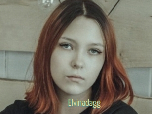 Elvinadagg