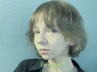 Elwinegallant