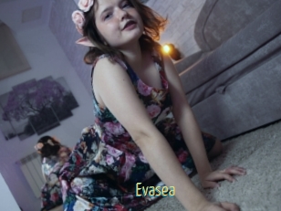 Evasea