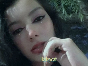 Haileycat