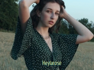 Heylarose