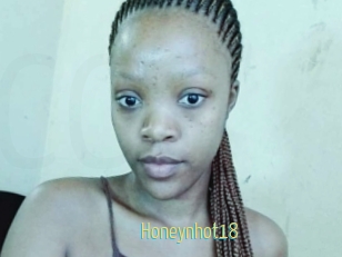 Honeynhot18