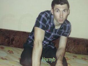 Hornyb