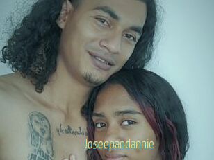 Joseepandannie