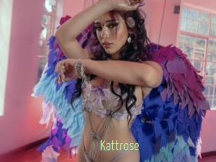 Kattrose