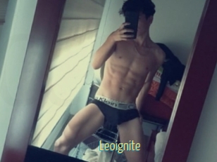 Leoignite