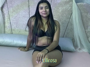 Lillirosa