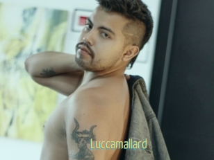 Luccamallard